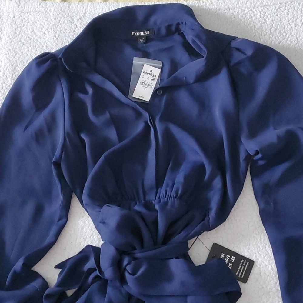 Express Dress - Picture 4 of 10